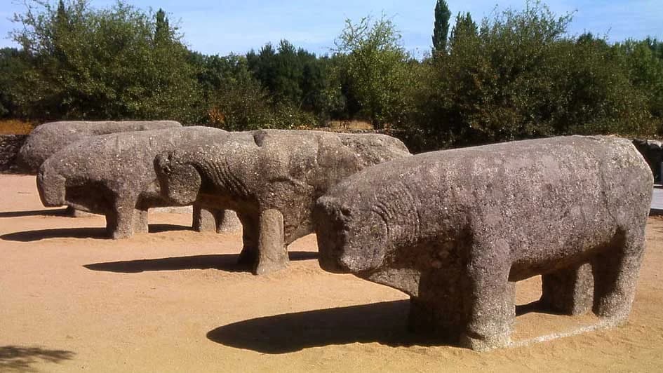 TOROS DE GUISANDO